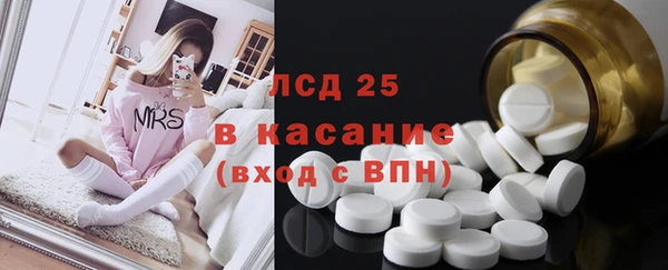 сатива Приозерск