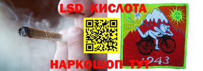 прущие грибы Кулебаки