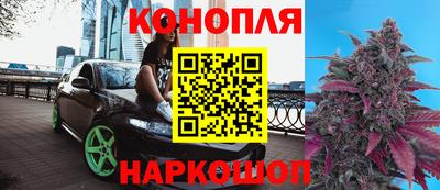 прущие грибы Кулебаки