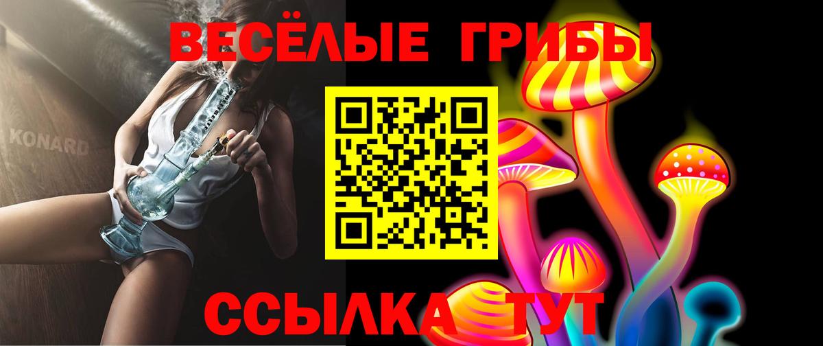 Псилоцибиновые грибы мицелий Сосновоборск